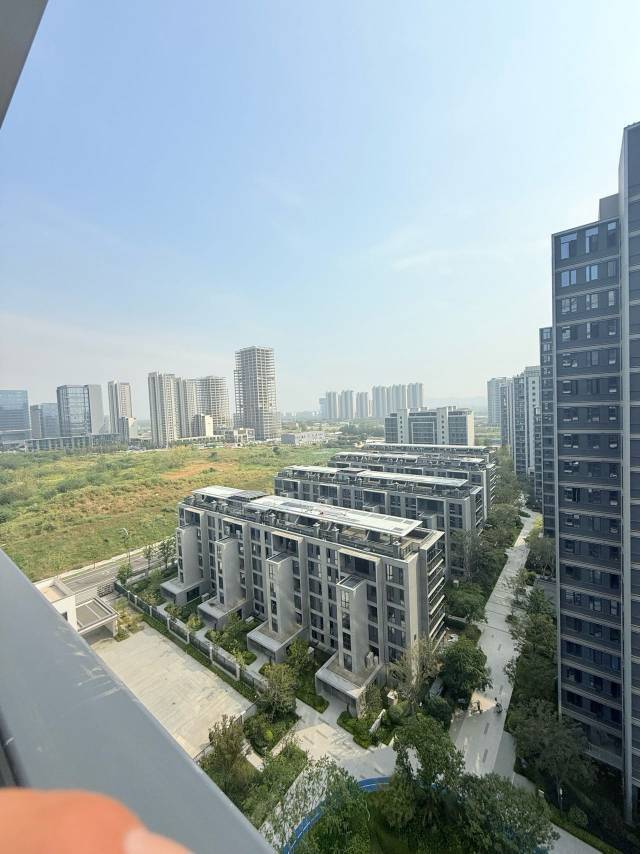 武漢 洪山 | 大家传宸府_7