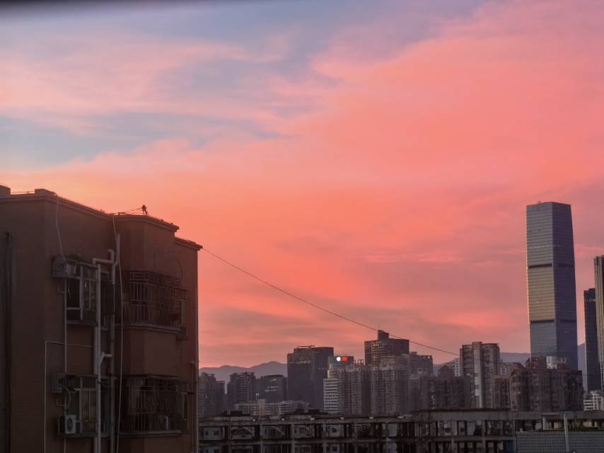 深圳 福田 | 沙尾东村_3