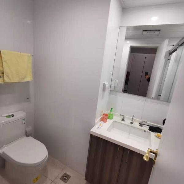 冰糖蒋文明整租房源1