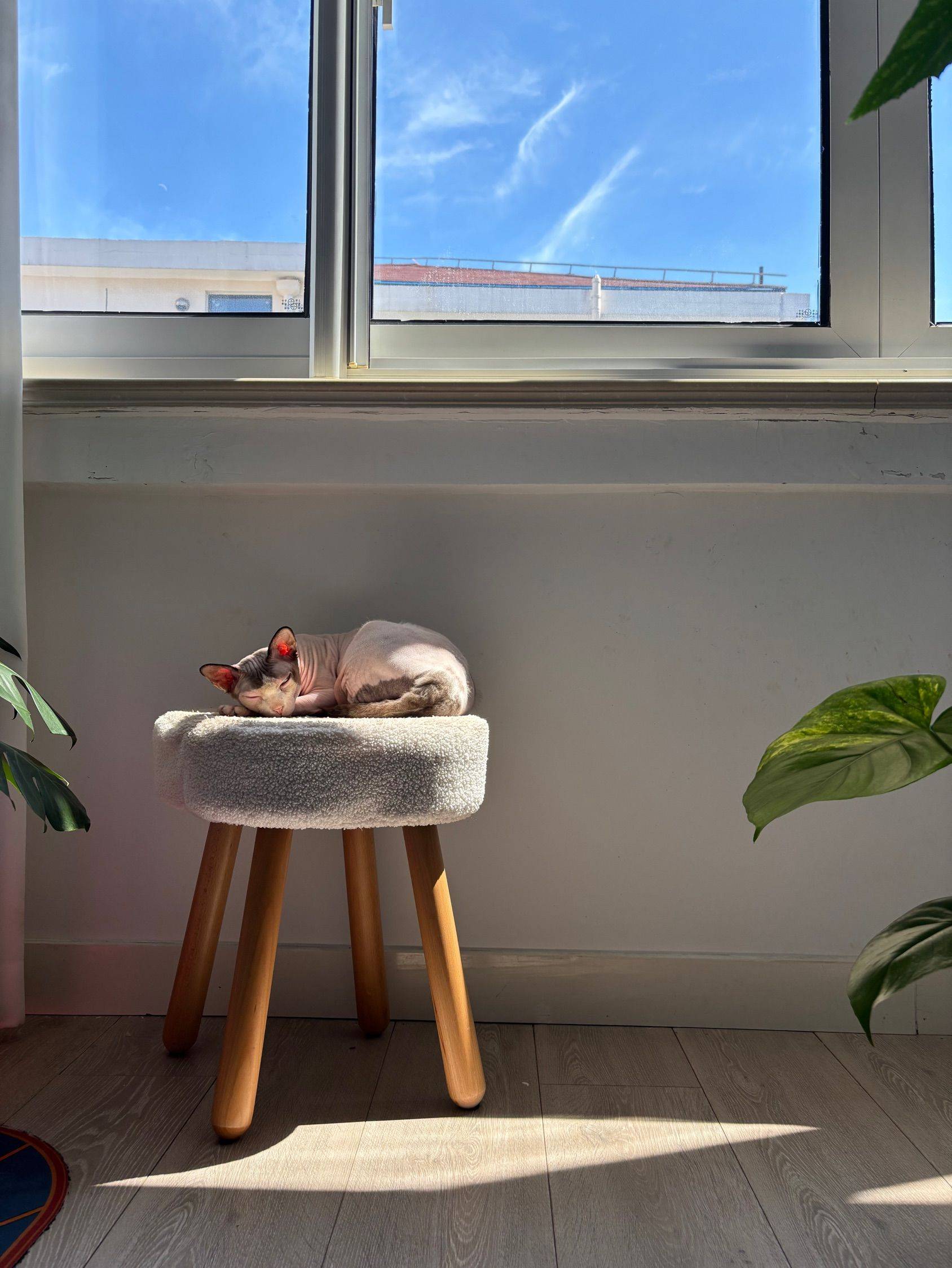 上海 徐汇 | 复兴中路1315弄小区_4