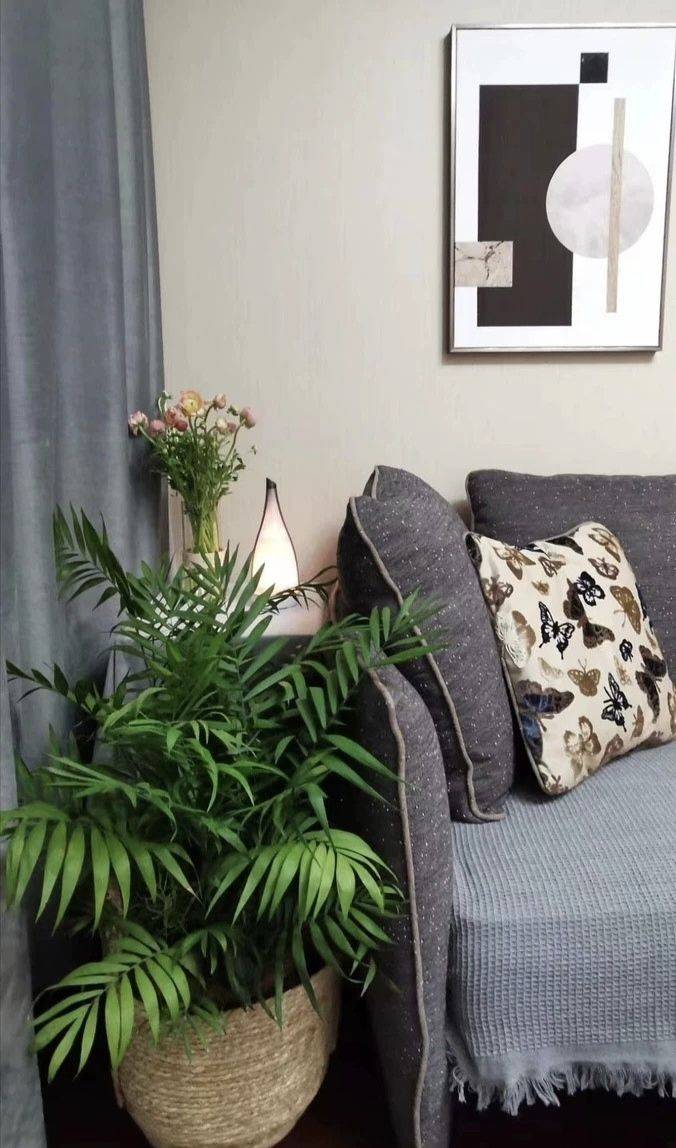 真实房东，中介勿扰整租房源3