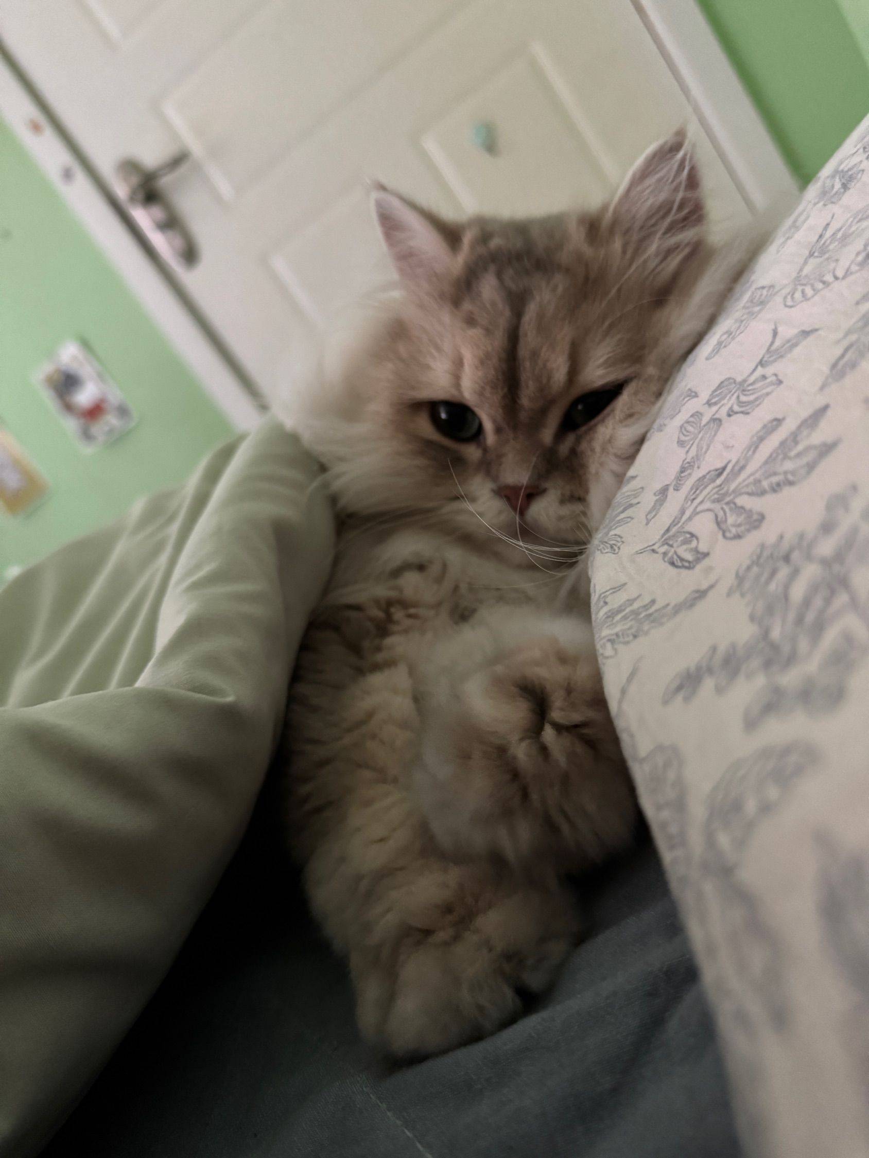 好多鱼整租房源2