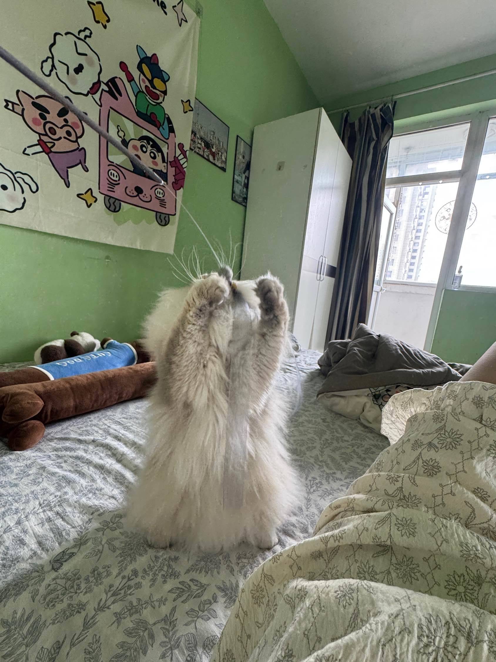 好多鱼整租房源3