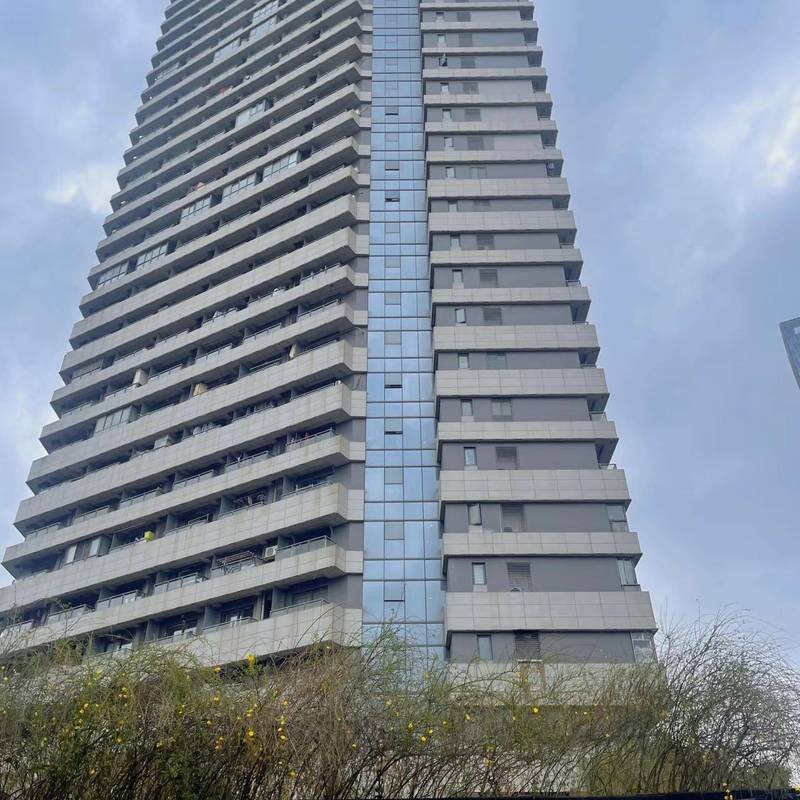 Wuhan Wuchang | 南国·悦公馆_3