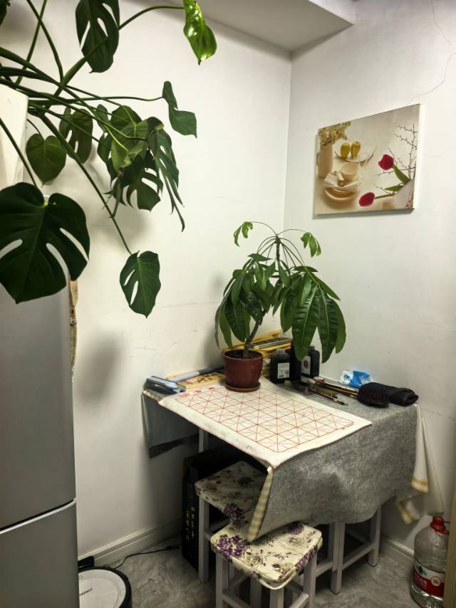 王桥街一室一厅整租房源2