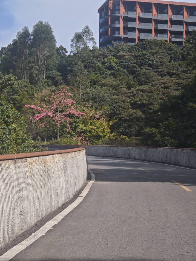 桯程程整租房源1