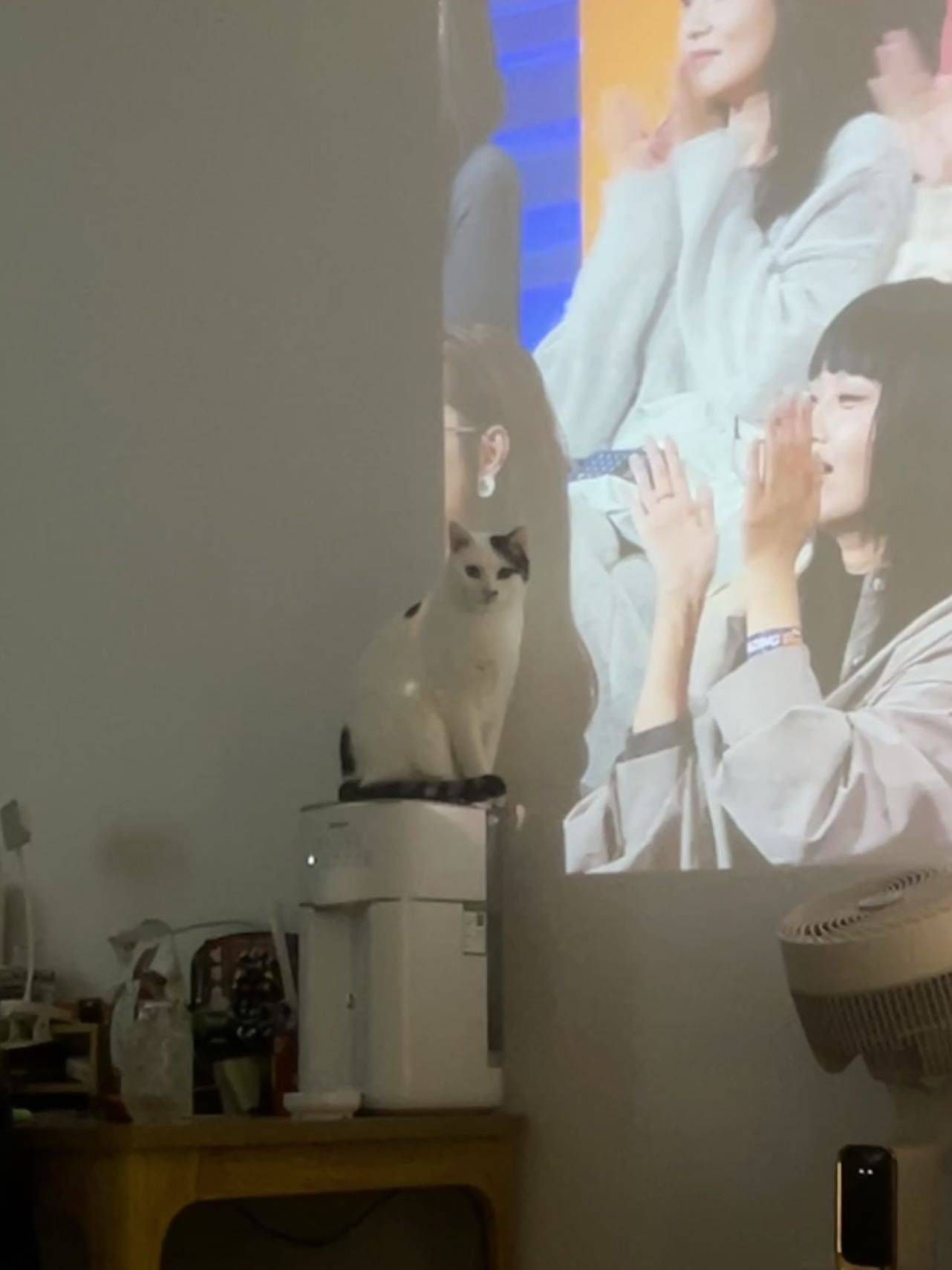 上海 寶山 | CCB建融家园·长滩滨江社区_6