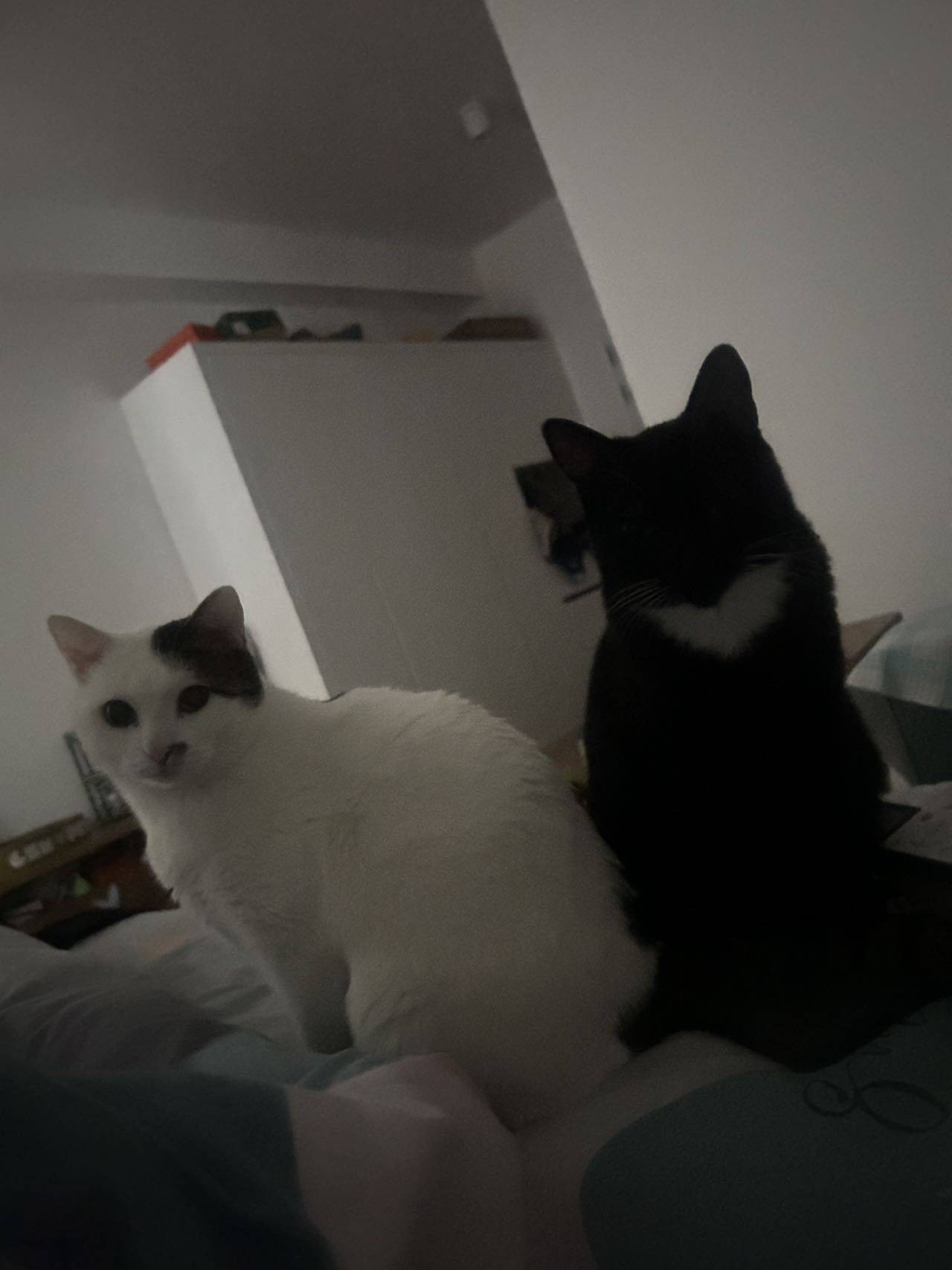 上海 寶山 | CCB建融家园·长滩滨江社区_5