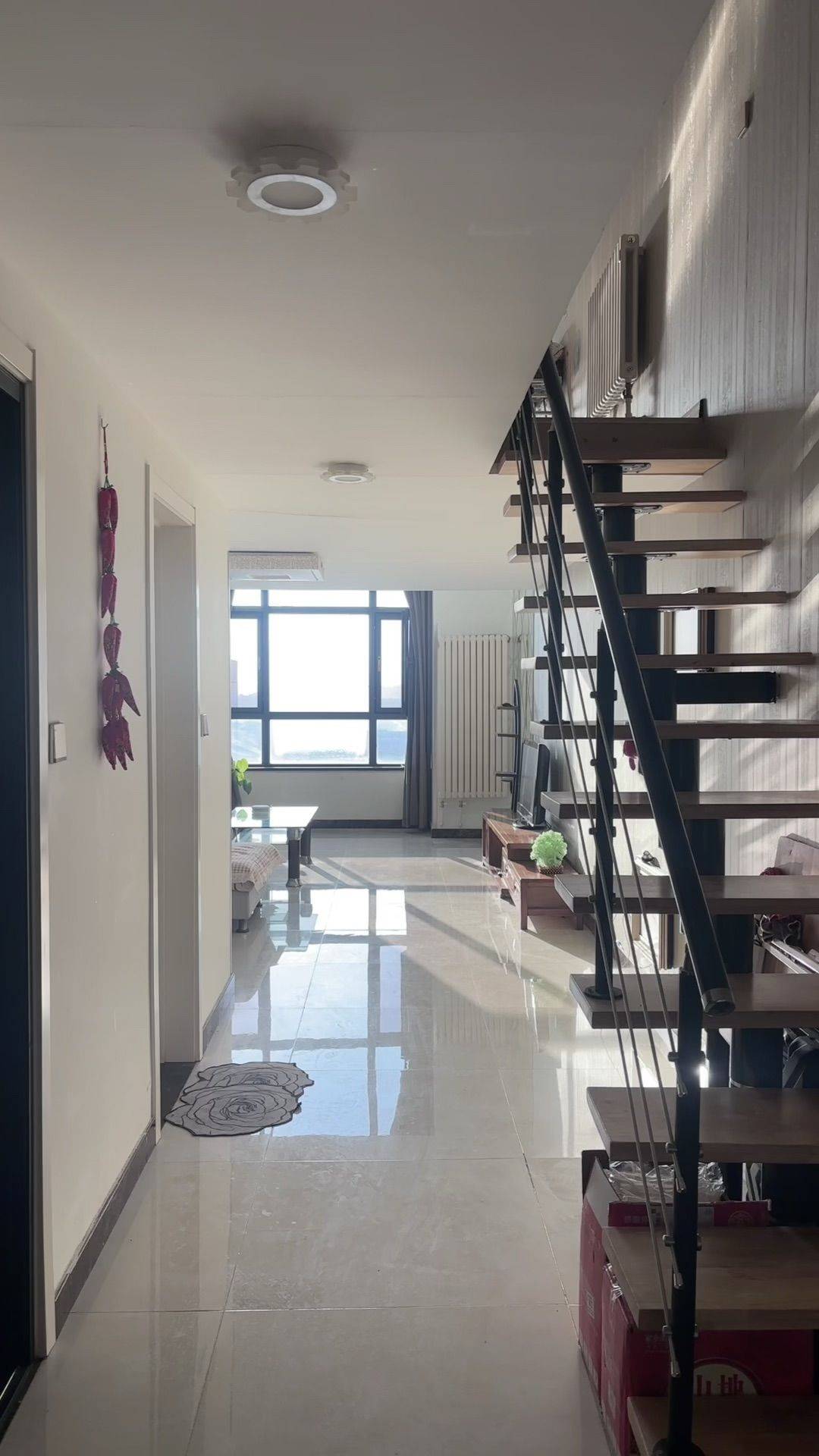 达尔文整租房源3