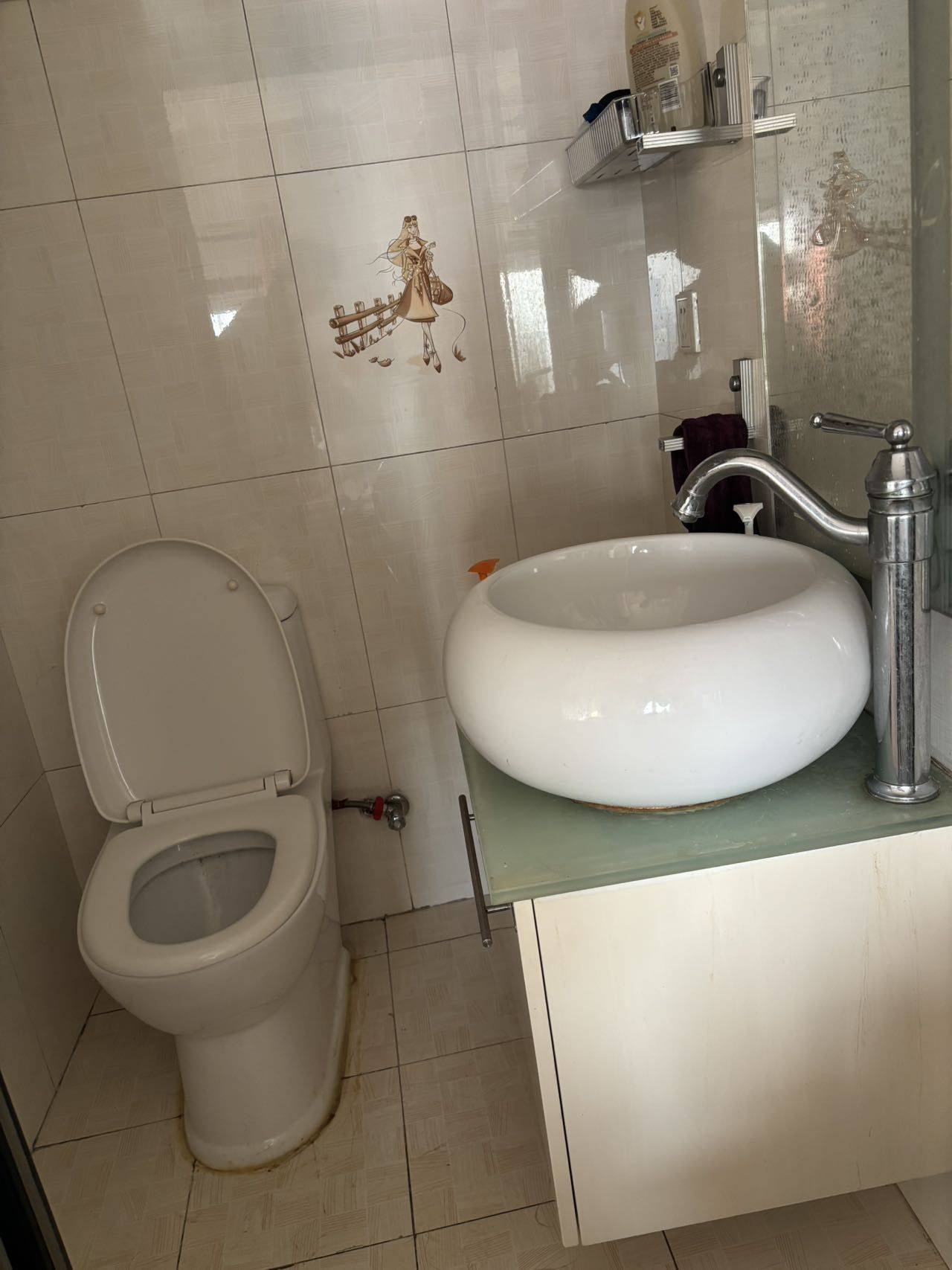 Beijing Fengtai | 万润风景_5