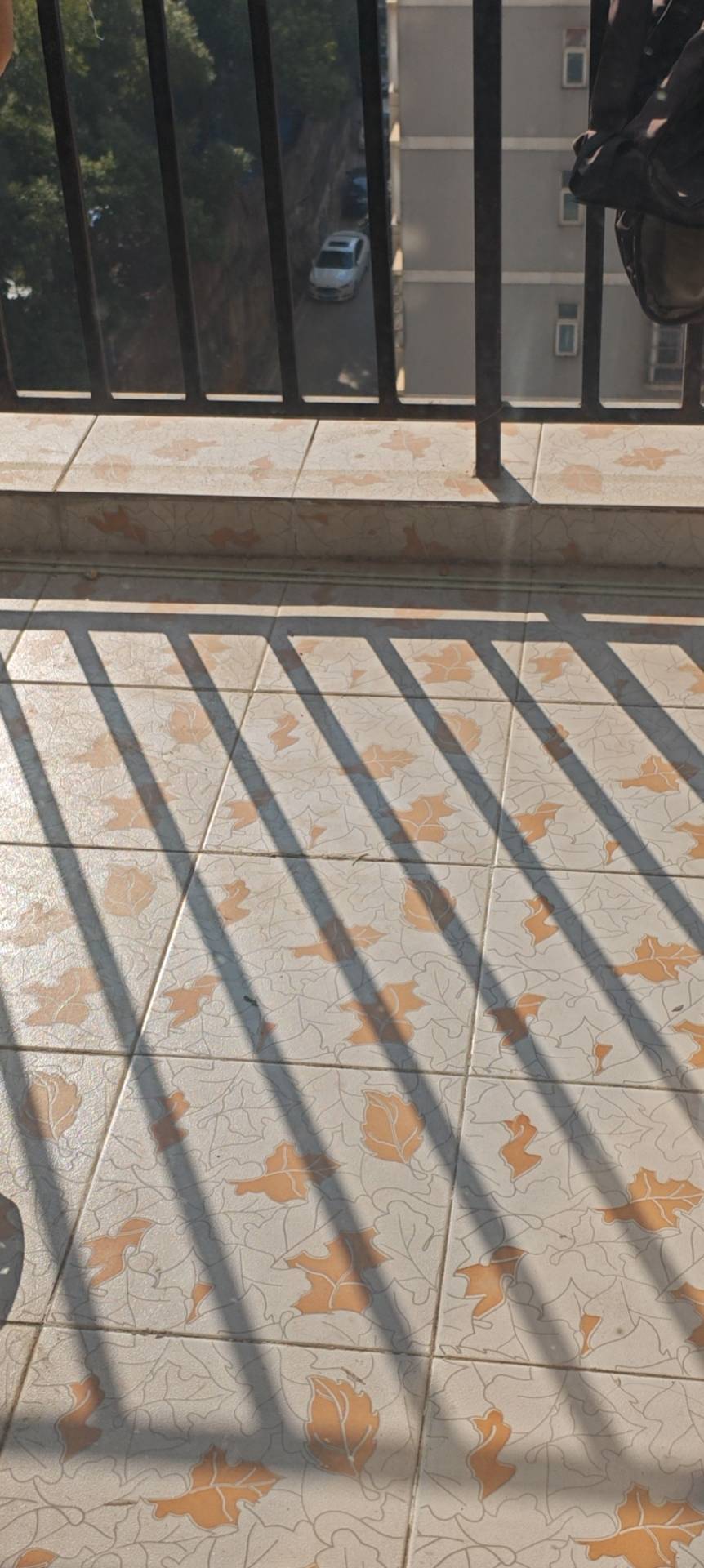 武汉 洪山 | 风度柏林-一期_3