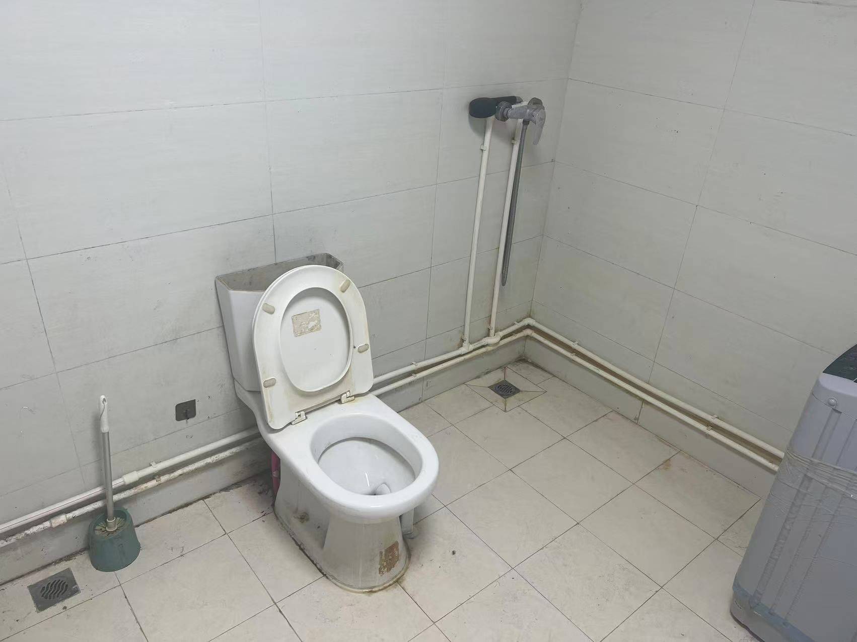 Toxicant°整租房源2