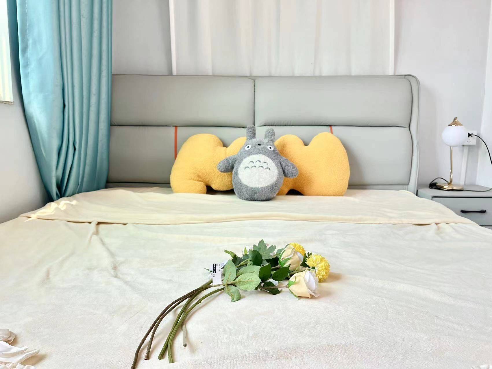 合肥 瑶海 | 樱樱花公寓(合肥三里街东都大厦店)_5