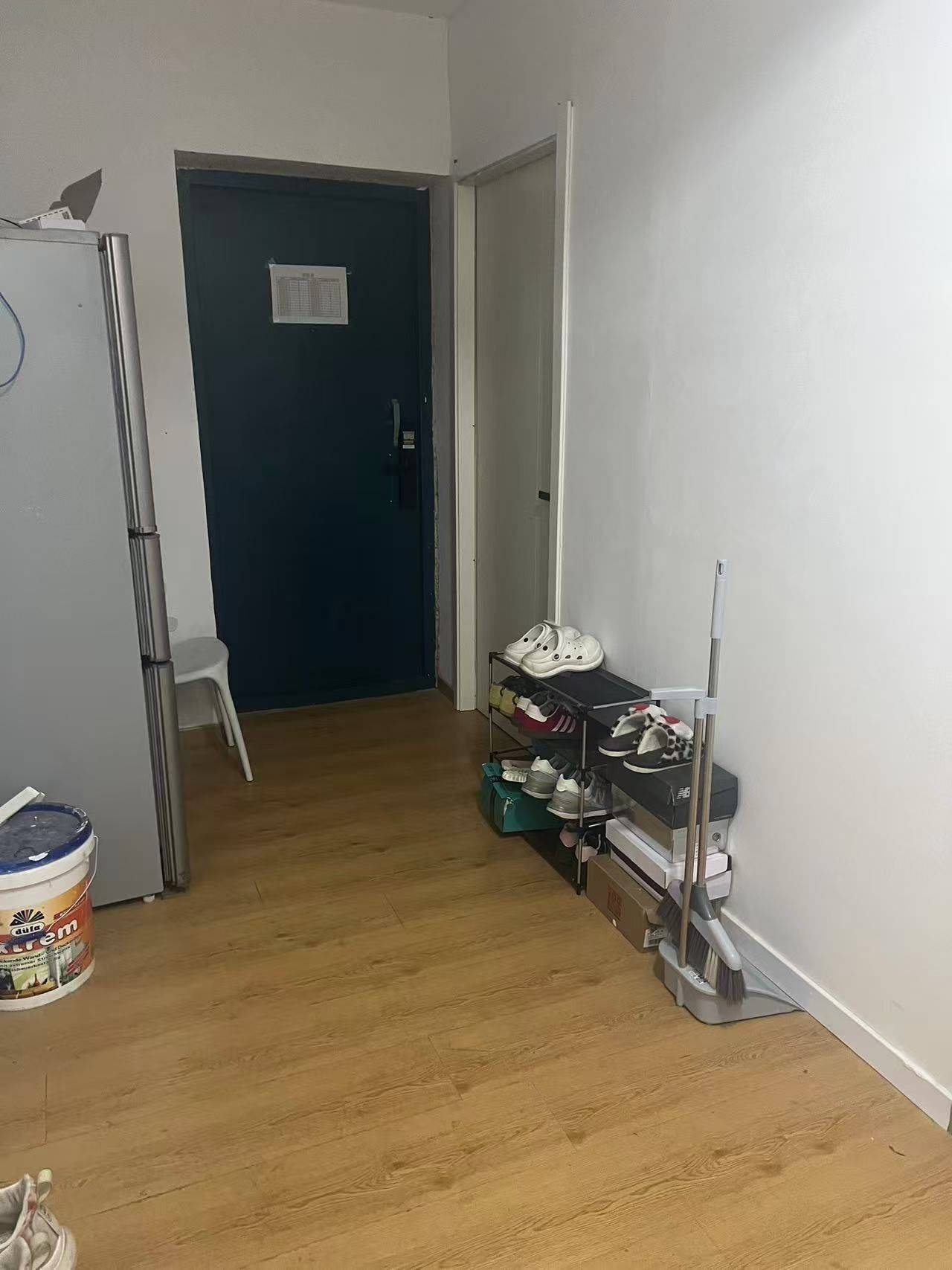 Toxicant°整租房源3