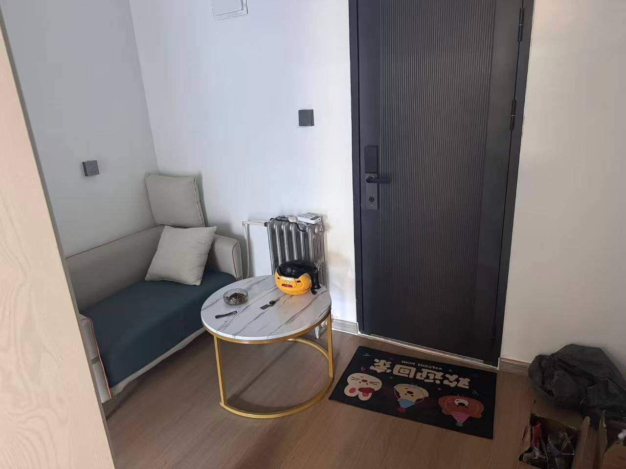 小舟亢奋过了头整租房源1