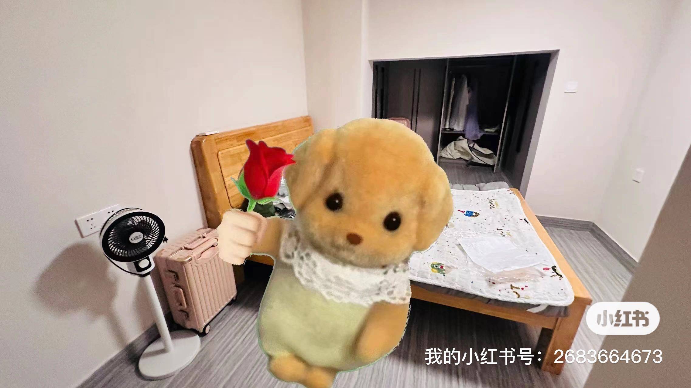 邕宁区 龙光玖珑台