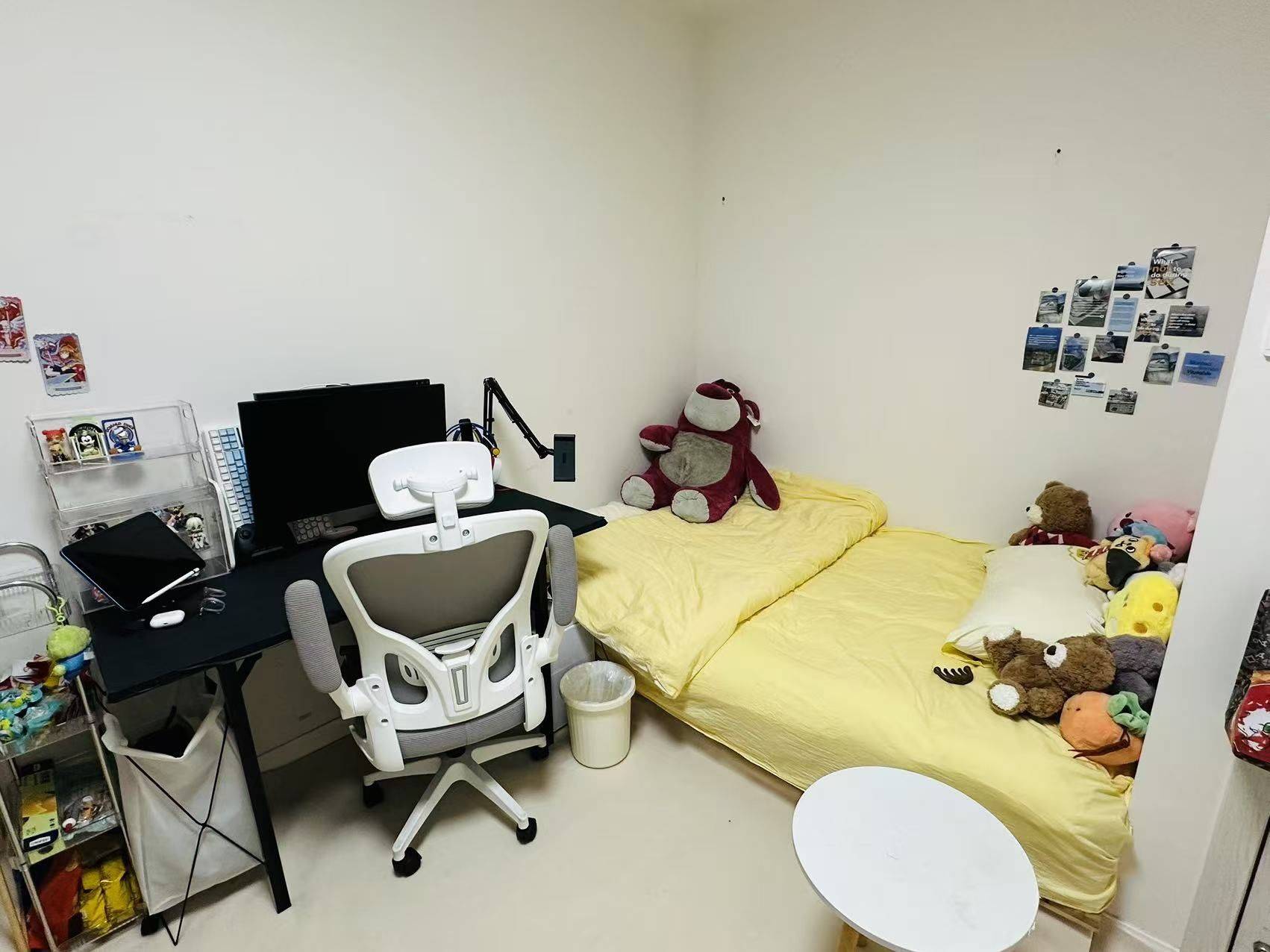 摆烂王整租房源1