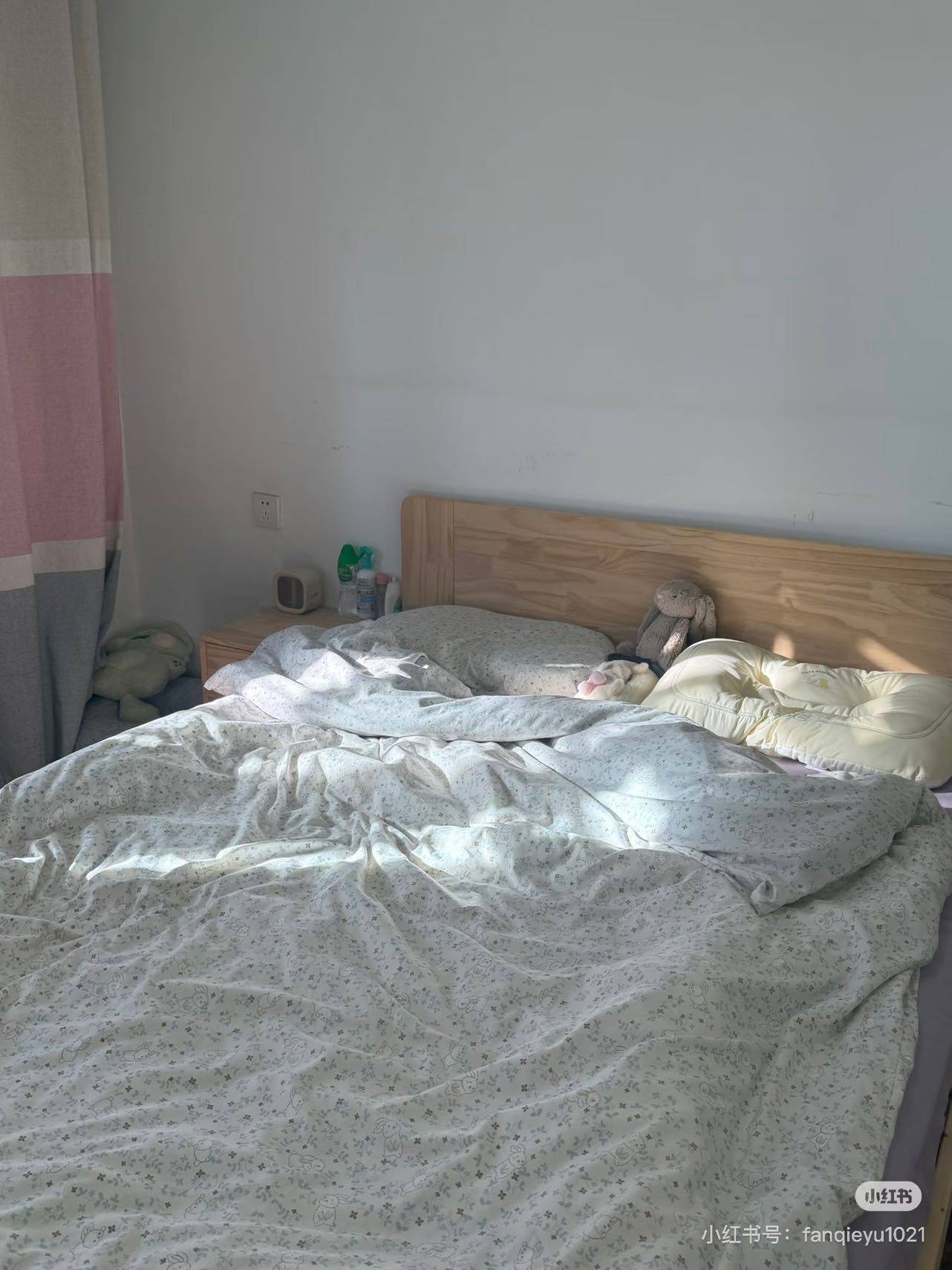 番茄小美鱼整租房源3