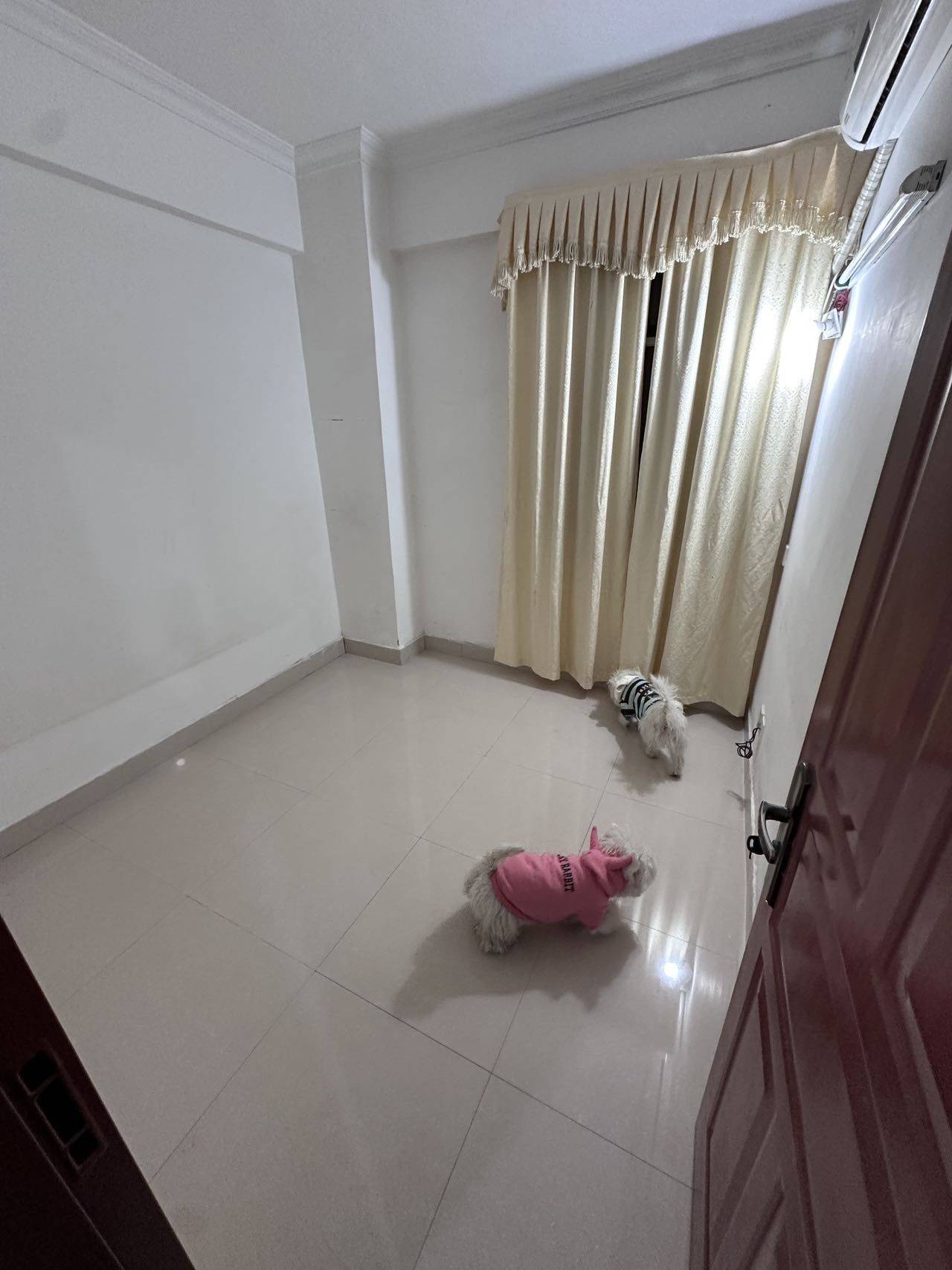 PAN-🐰整租房源3