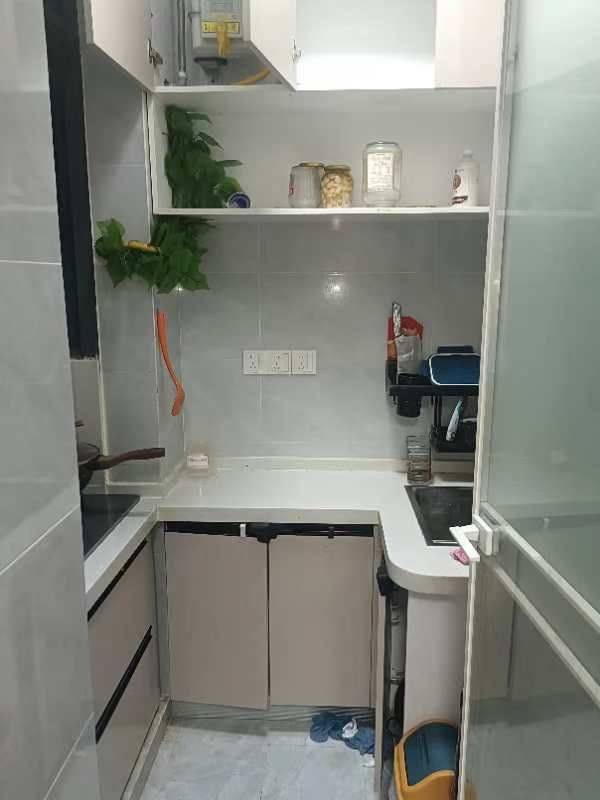 Wuhan Jiang'an | 歌舞剧院小区_4