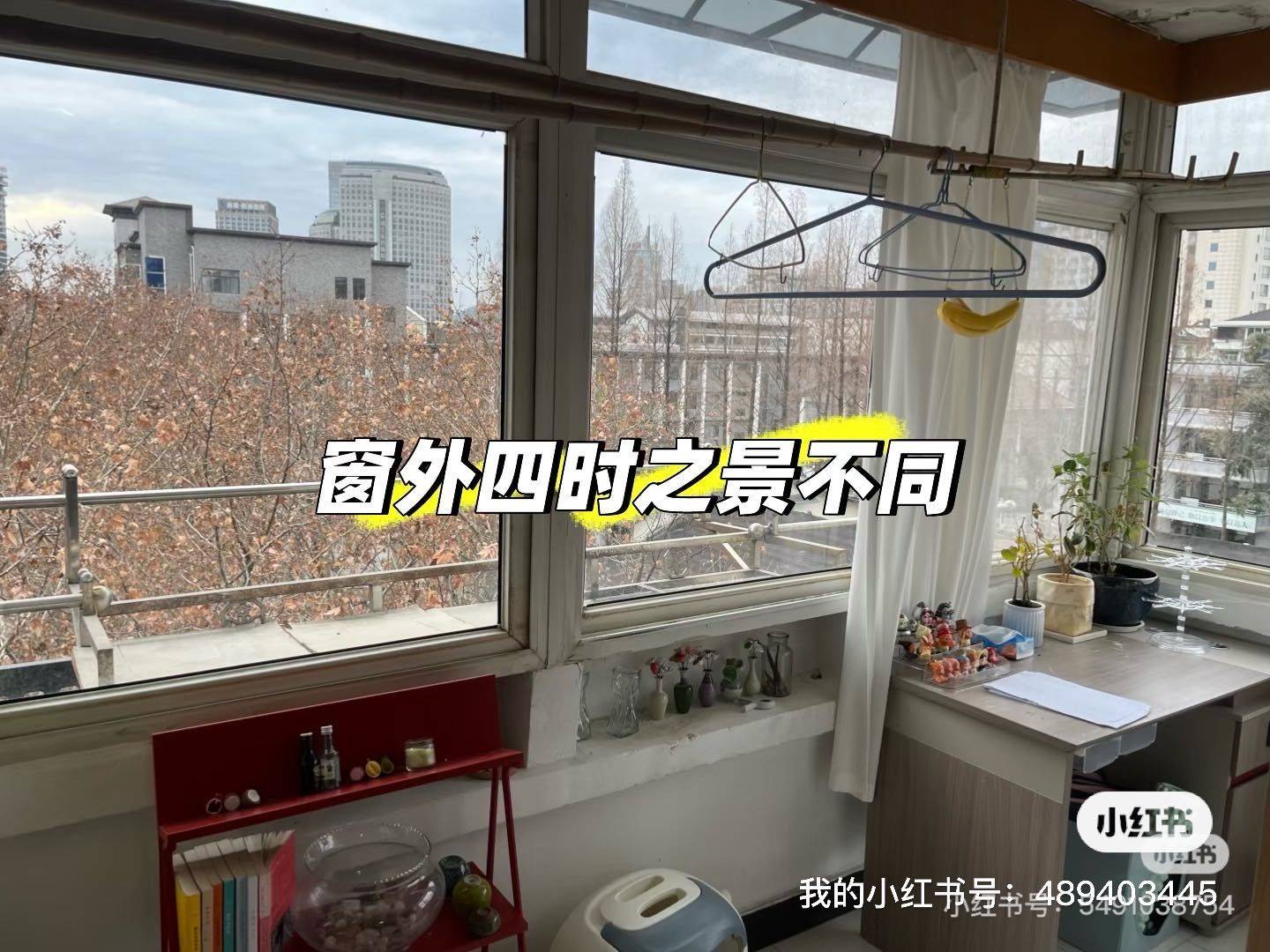 鲨鱼泡椒整租房源3