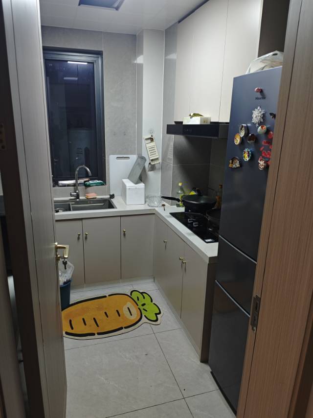 不做流浪汉整租房源3