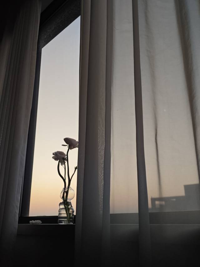 不做流浪汉整租房源1