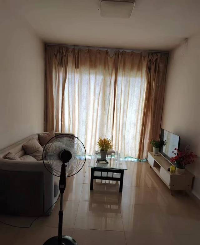 東莞 沙田 | 活力粤港_3