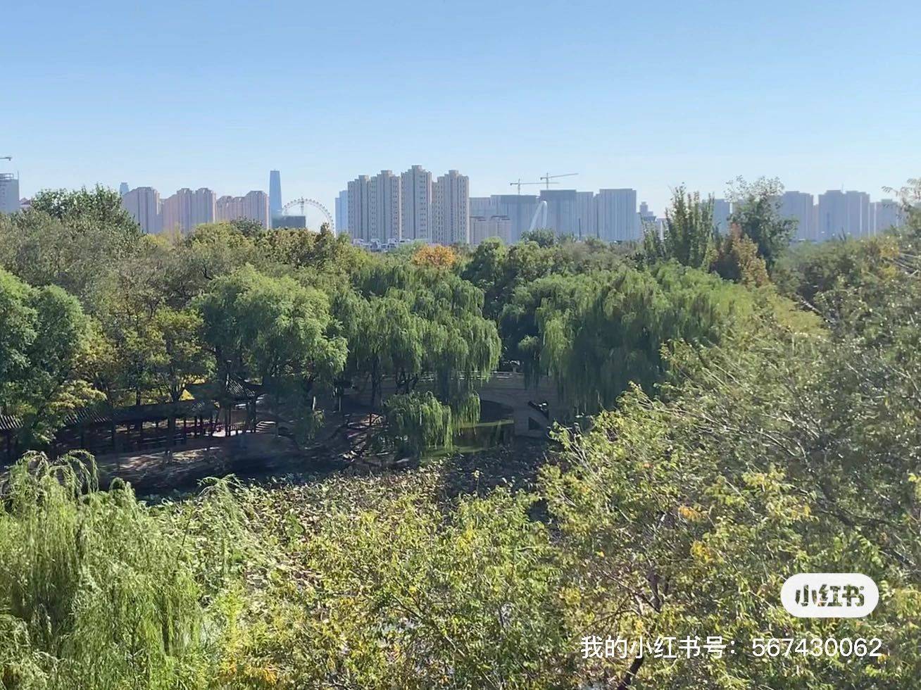 天津 河北 | 栖霞里-9号楼_6