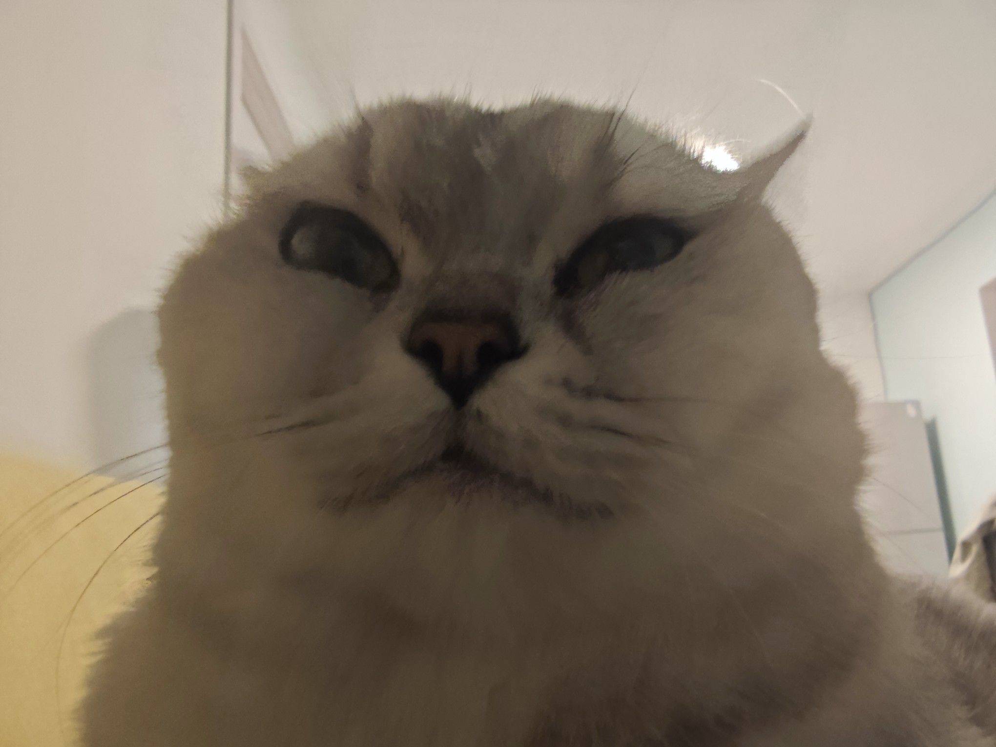 北京 房山 | 长景新园社区_4