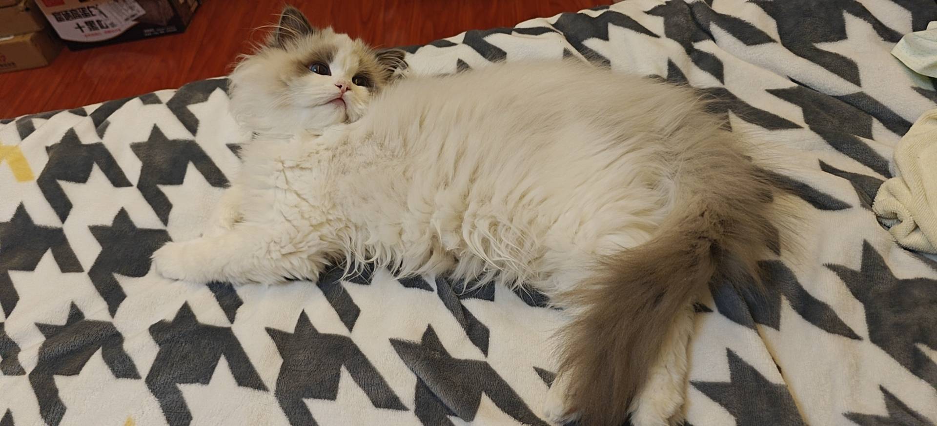 合肥 蜀山 | 安高城市天地-3栋_3