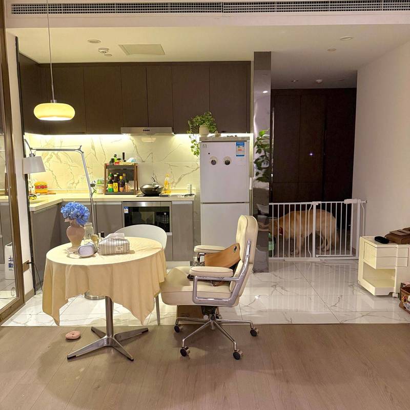 苏州 工业园 | 丰隆城市中心-3号楼_6