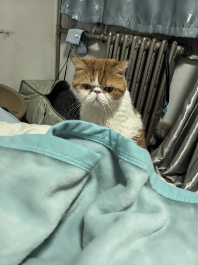 北京 西城 | 马连道中里_6