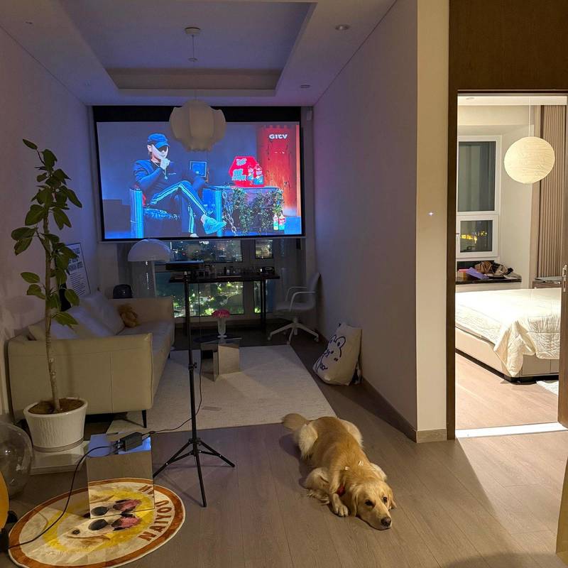 苏州 工业园 | 丰隆城市中心-3号楼_3