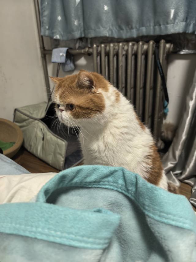 北京 西城 | 马连道中里_5