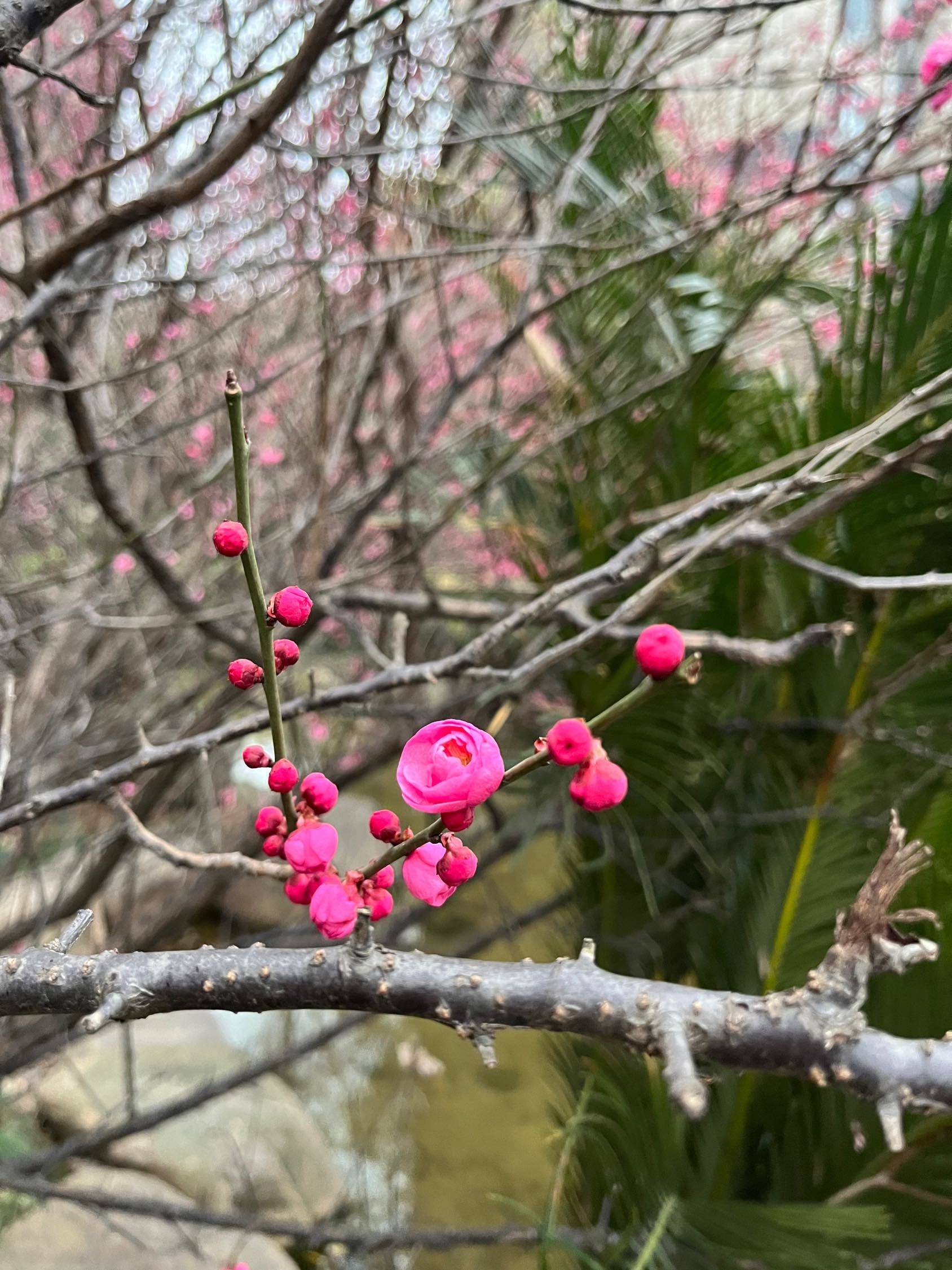 杭州 余杭 | 天荟未来之光城-1幢_3