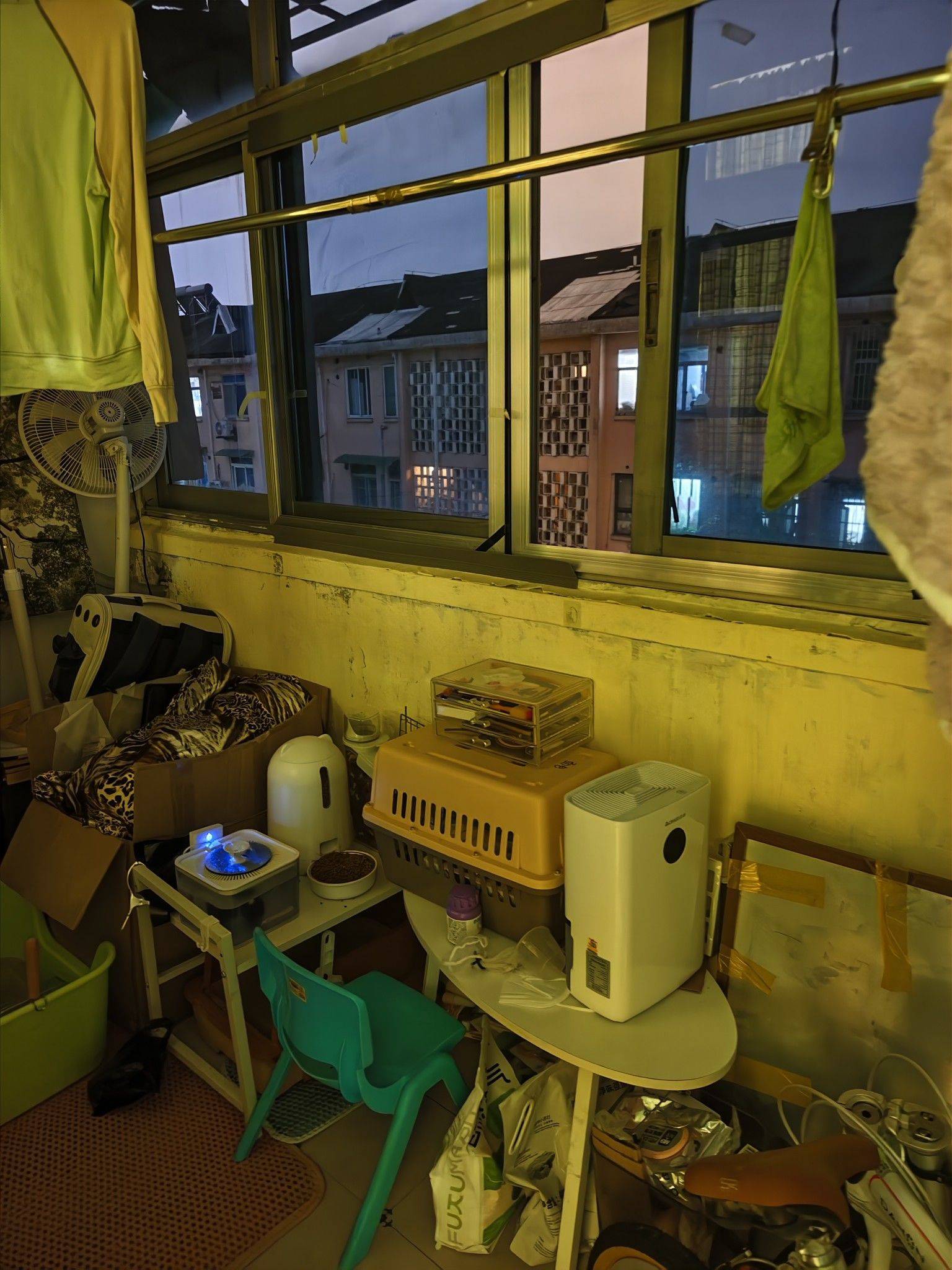 杭州 西湖 | 古荡新村东_4