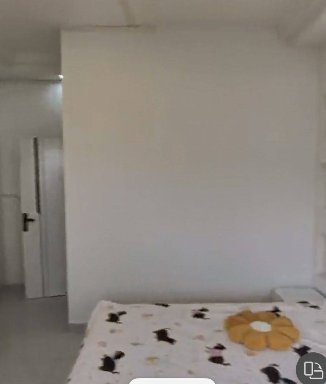 閔行 环绿公寓-4号楼