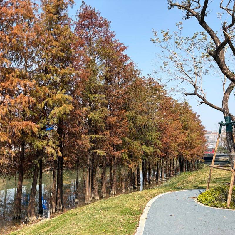 Wuhan Wuchang | 楚天都市雅园_6