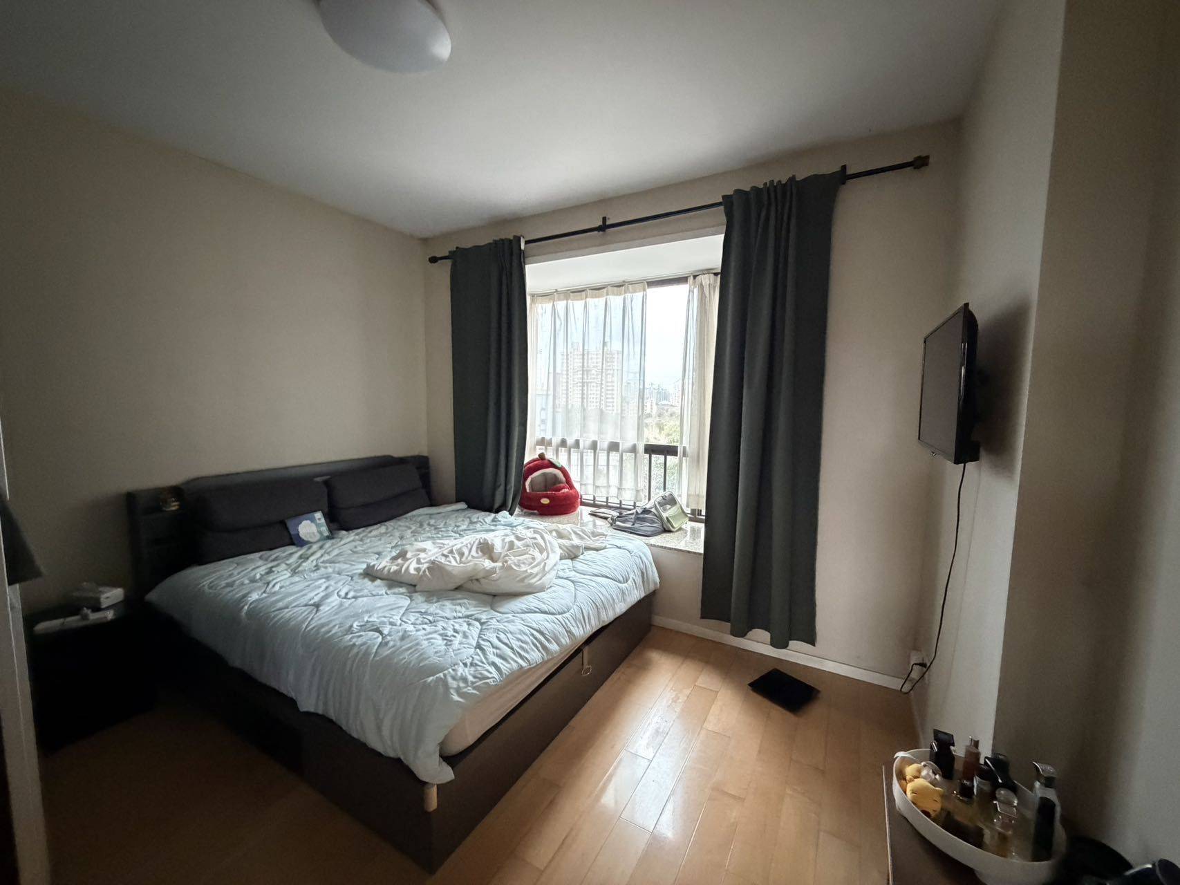 Haonan Li 👾整租房源3