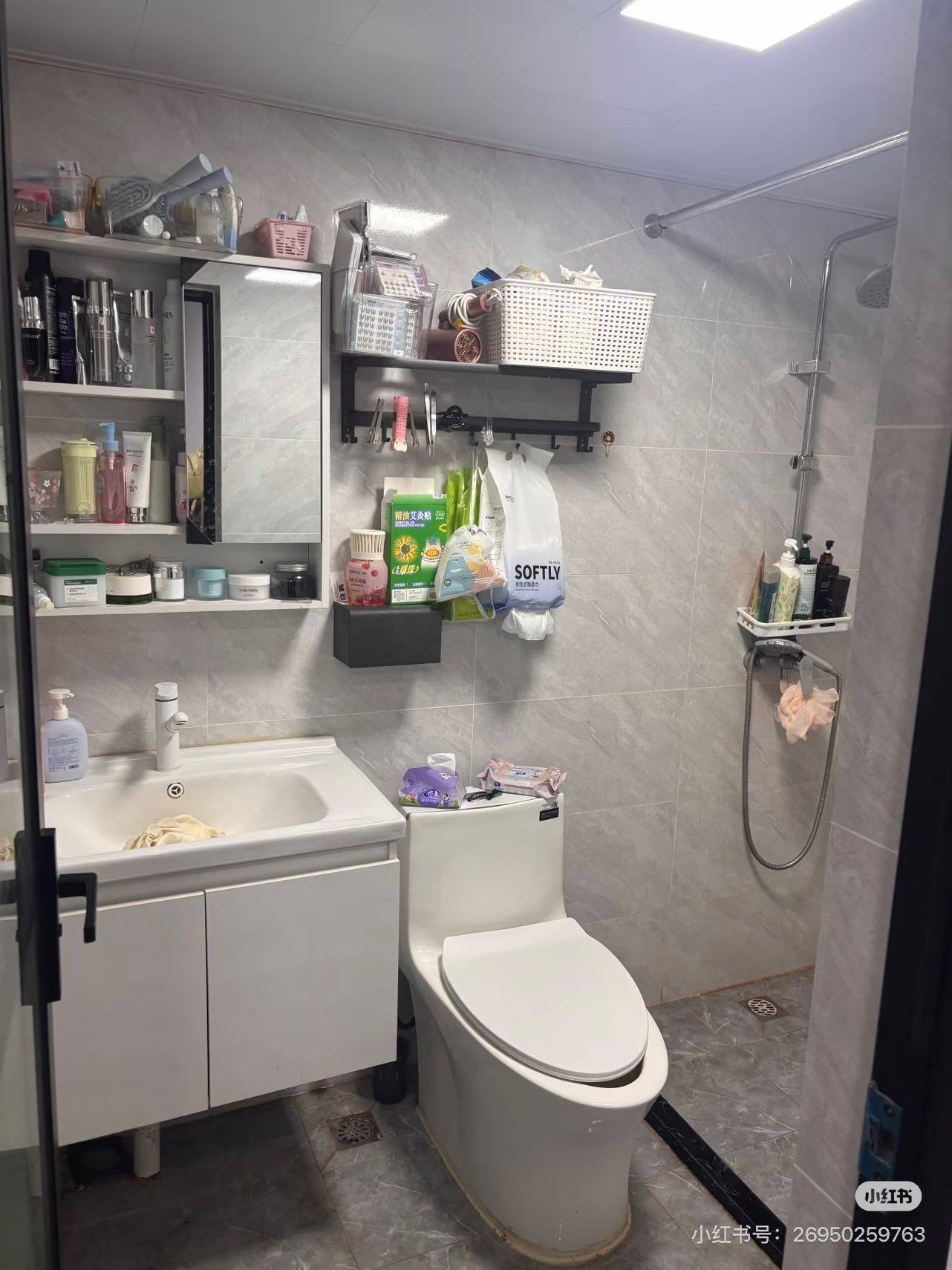 暴躁櫻子整租房源2