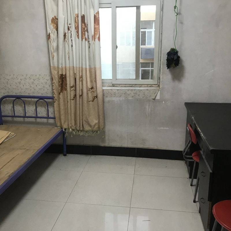 西安 新城 | 黄河上中游管理局南家属院_5