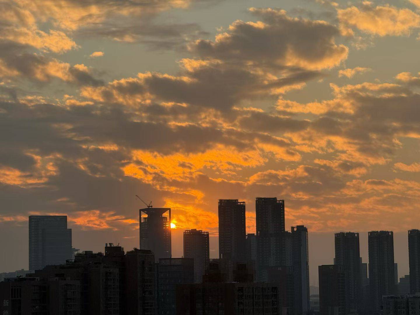 Catherine整租房源1