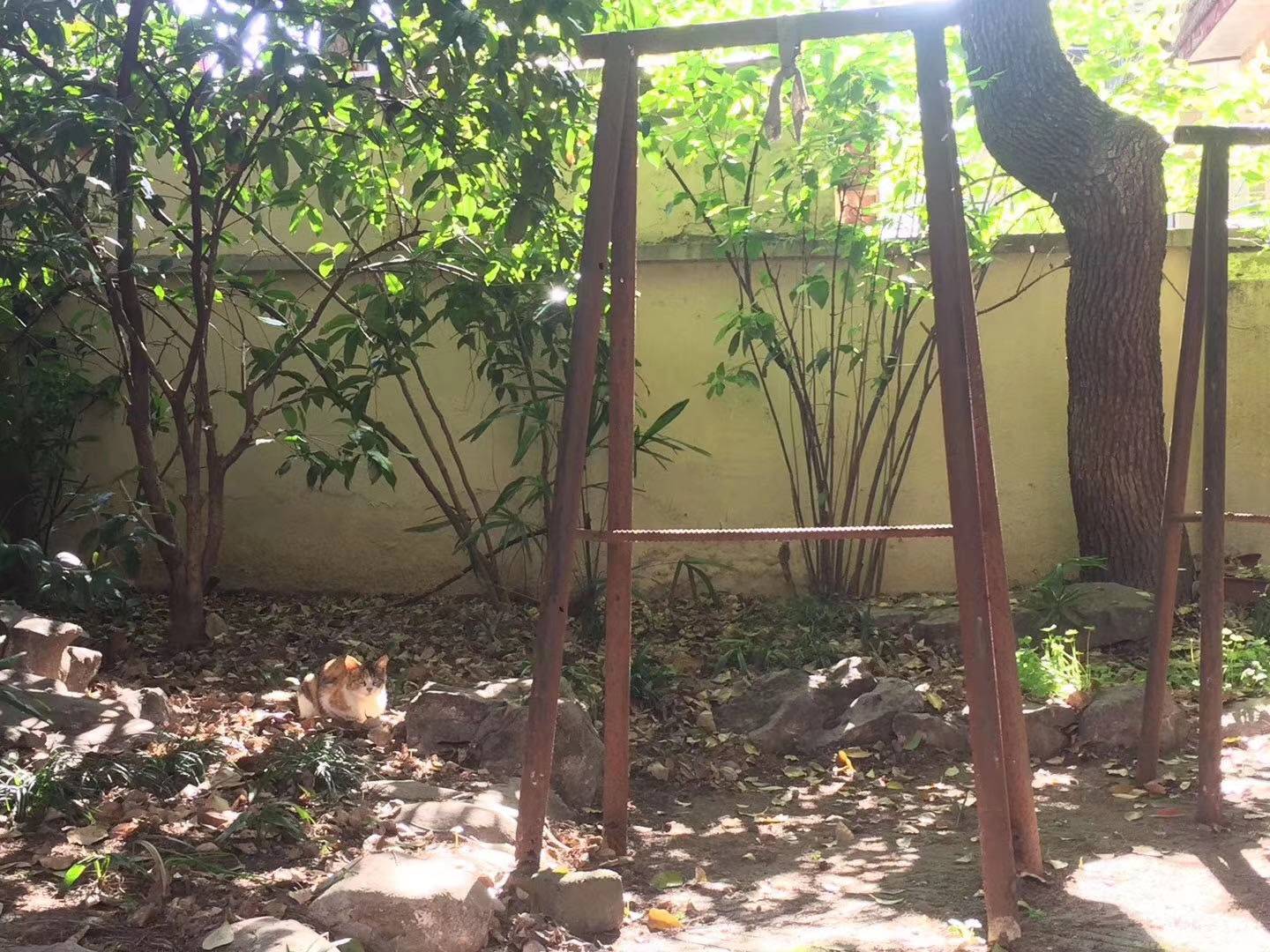 上海 靜安 | 愚园路608弄小区_5