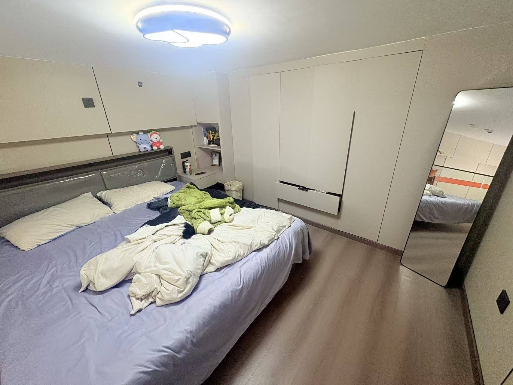 南昌 青云谱区 | 绿都·新力青云府-3栋_6