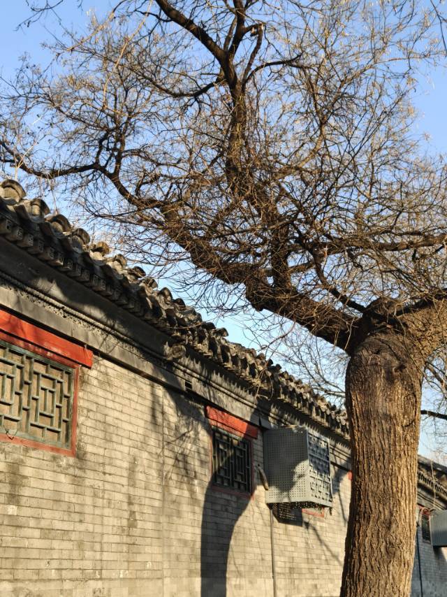 Beijing Dongcheng | 东四二条-15号楼_4