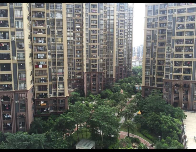 Dongguan Dongcheng | 中熙弥珍道-8栋_6