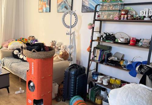 松江 富顿苑二期