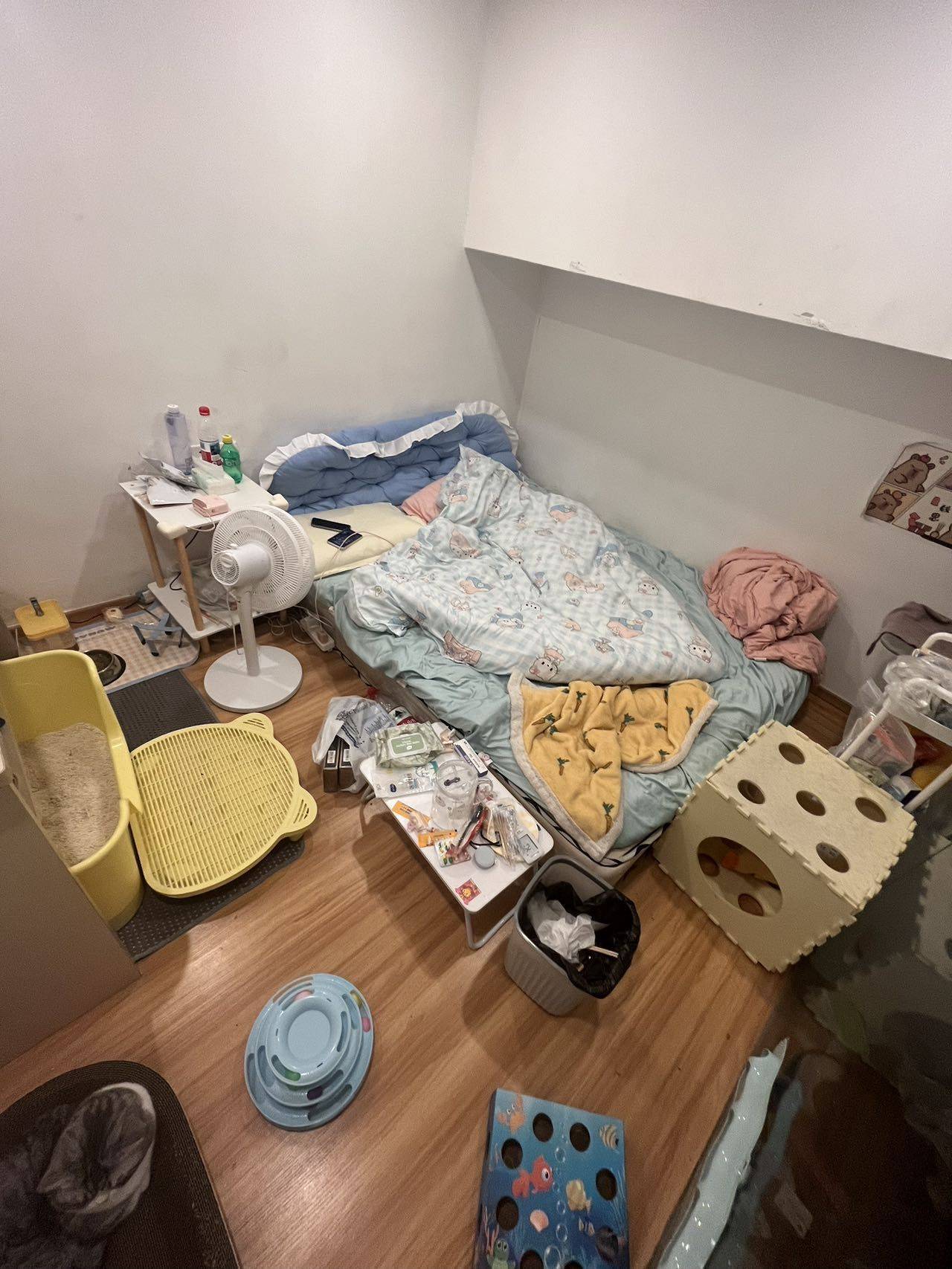 呼噜噜整租房源1