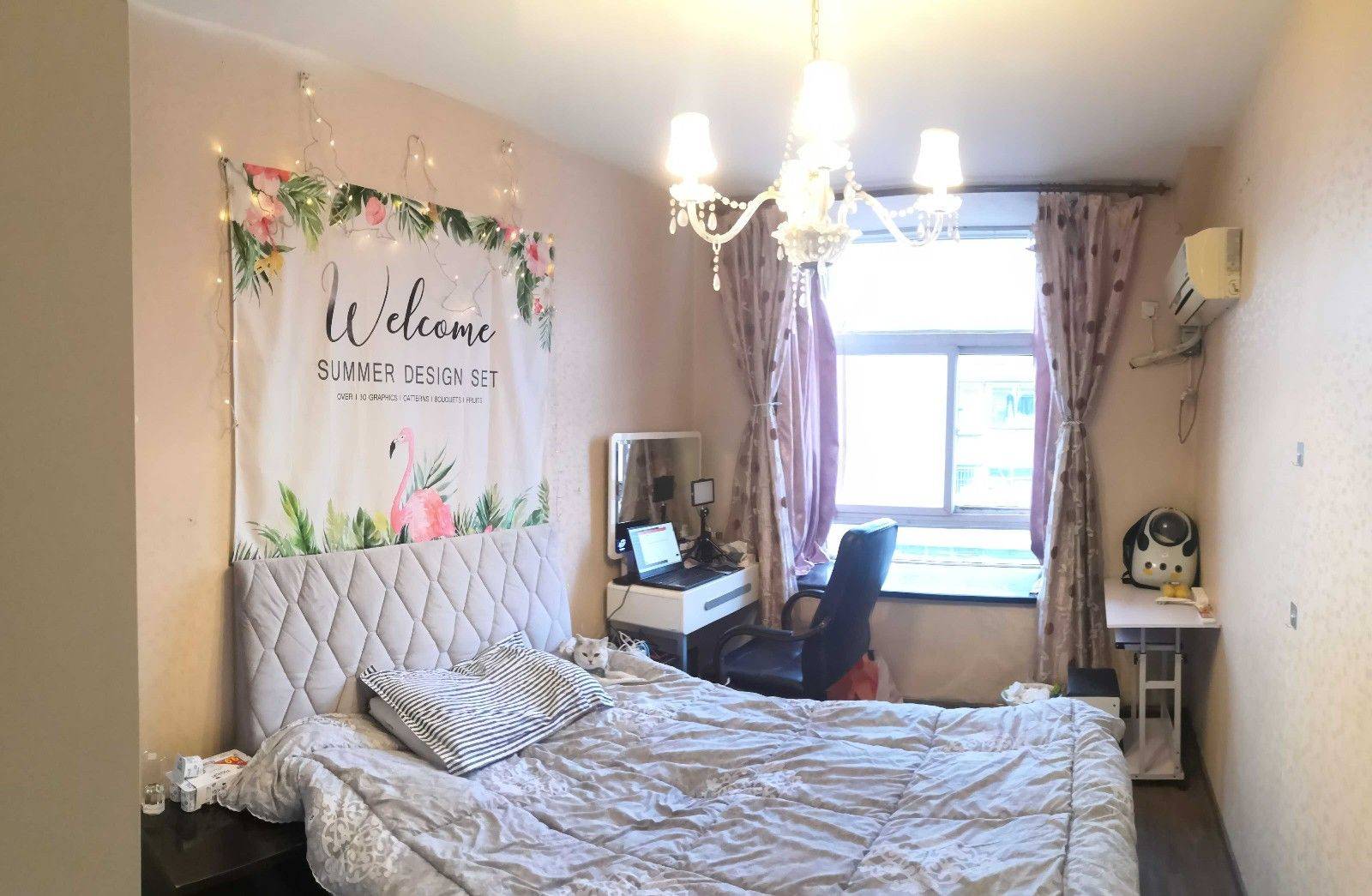 四叶草整租房源1